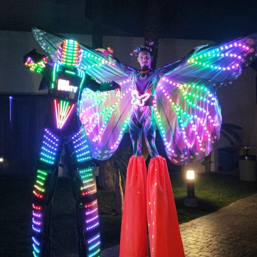 ANIMACIONES Y ENTRETENIMIENTO 14