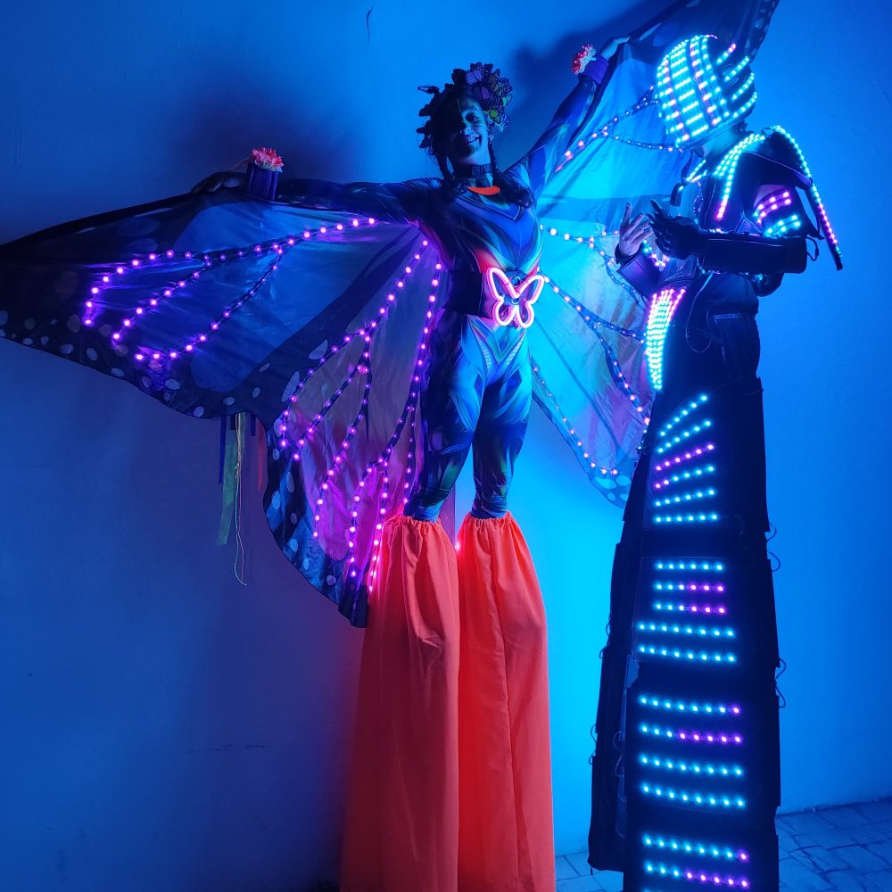 ANIMACIONES Y ENTRETENIMIENTO 15